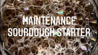 Maintaining SOURDOUGH STARTER in all stages | Full explanation and methods