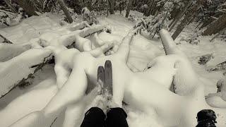 Sketchy Tree Skiing At Whistler