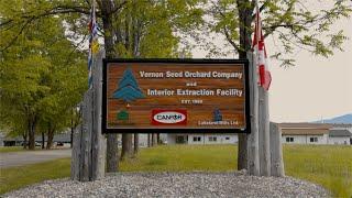 Vernon Seed Orchard Company (VSOC) Seed Extraction Video