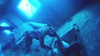 Freediving El Peñon Wreck - Tenerife