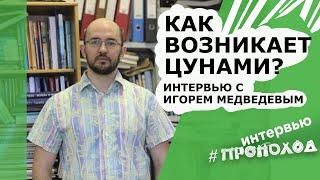 Как возникает цунами? Интервью с Игорем Медведевым