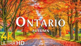 Ontario Autumn 4K UHD  Gorgeous Fall Foliage & Relaxing Autumn Ambience with Beautiful Piano Music