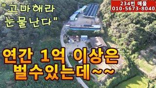 (매물번호 234)년간 1억 이상 수익.신축 만3년 주택과 자연방사 닭사육과 개사육시설.허가증 인계.담보대출도 가능.귀농이나 귀촌하여 고소득 가능.몸만 들어오면 됨.