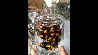 Healing Elixir Made From Hornet Venom 