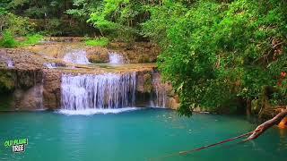 Green Magic A Forest Walk with the Melody of the Waterfall