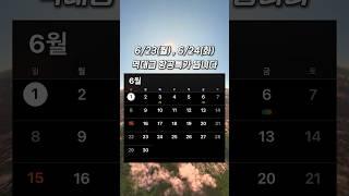 해외여행 계획하시는 분들 주목️ 항공권 특가 소식  #여행 #해외여행 #국내여행 #여행유튜버 #제주항공