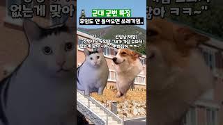 군대 군번 특징 #shorts #군대