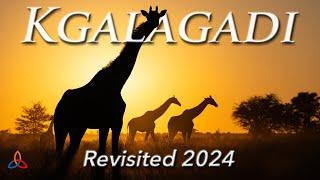 Kgalagadi Transfrontier Park Revisited 2024