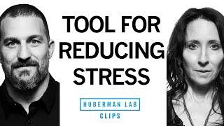 How to Lower Stress & Become Comfortable With Uncertainty | Dr. Elissa Epel & Dr. Andrew Huberman