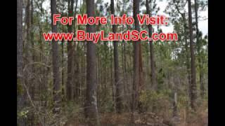 Hunting Land for Sale, 10 Acres in South Carolina