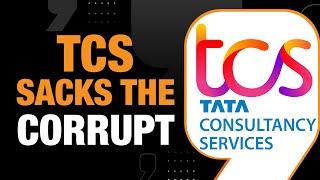 TCS Fires 16 Employees For Bribe-For-Jobs Scam | Business News Updates | News9