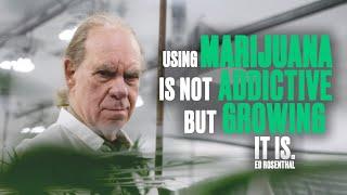 Smoking Weed is NOT Addictive but Growing it IS | Ed Rosenthal | Guru of Ganja