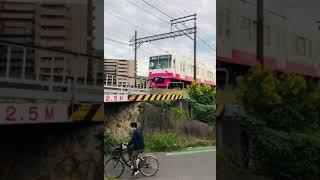 SEE THAT TIMING!? SK55 #shorts #japan #amazing #trending #viral #train #short #nice
