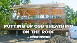 Roofing OSB Sheathing // Fascia Boards // Off Grid DIY House Build