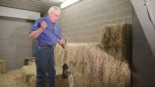 How to Sample and Analyze Hay for Optimal Horse Nutrition