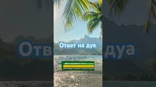 Ответ на дуа | #quran #sabr #ислам