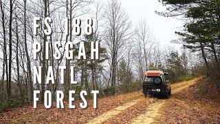 Pisgah National Forest | FS 188 Primitive Camping