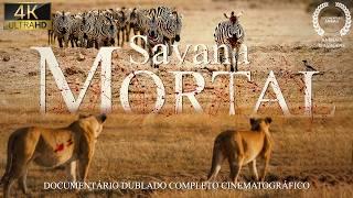 SAVANA AFRICANA | Conflitos Mortais entre Predadores e Presas | Documentário de Vida Selvagem