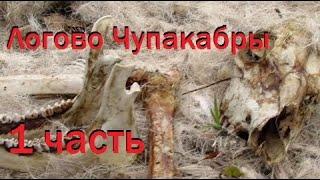Нашел логово Чупакабры и груды костей 1\3 Chupacabra lair