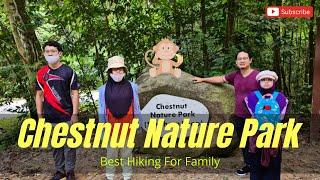 Best Hiking Trail In Singapore - Chestnut Nature Park