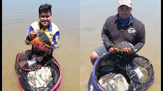 Superfish SA: 73 fish caught at Khayalami, Albert falls