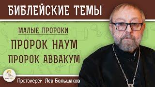 ПРОРОК НАУМ. ПРОРОК АВВАКУМ. Протоиерей Лев Большаков