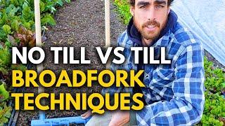 No-Till Gardening Explained: Why Tilling Could Be Ruining Your Garden