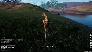 Animalia Gameplay