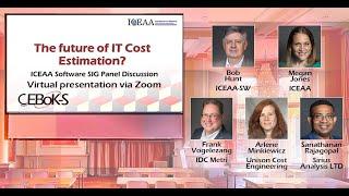 The Future of Software Cost Estimation Panel Discussion