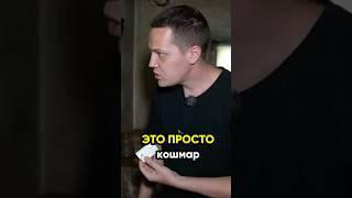 Это просто кошмар! @IgorMedov
