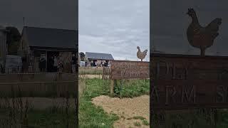 Jeremy Clarkson's Diddly Squat Farm Shop part 1