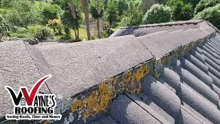 Moss treatment on roof