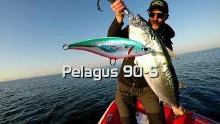 False Albacore MADNESS with Pelagus 90-S