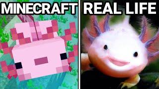 30 Minecraft Items VS Real Life!