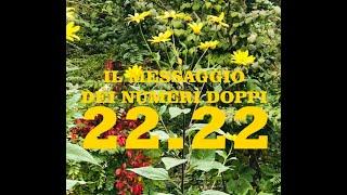 NUMEROLOGIA - IL MESSAGGIO DEI NUMERI DOPPI (11.11 - 22-22 ecc.)