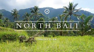 Discovering HIDDEN GEMS in NORTHERN BALI ️