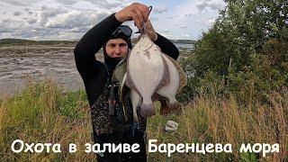 ВОДА КРИСТАЛЬНАЯ / КАМБАЛЕ НЕ УЙТИ / UNDERWATER HUNTING