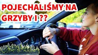 POLACY W UK, POLSKIE LASY NAJLEPSZE ! #lasy #anglia #vlog