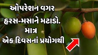 ઓપરેશન વગર હરસ-મસાને મટાડો, માત્ર એક દિવસનાં પ્રયોગથી!!