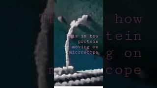 This is how protein moving on microscope
