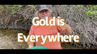 Gold in Nevada! Panning for Gold. Gold in the Campground. Do they know they have Gold in Camp?