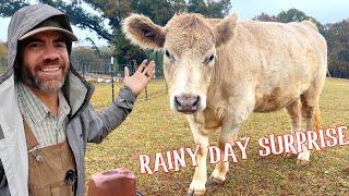 Help Farmer Jason In The Rain With the Farm Chores!