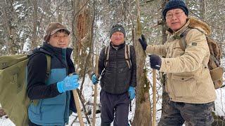 산삼나라의 오지 고산 산행기입니다.. #송상황버섯 #소나무겨우살이 #송라 #소나무잔나비버섯 #분비상황