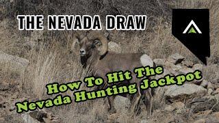 Understanding the 2024 Nevada Draw