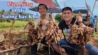 Người Việt Đem Ngành Nông nghiệp Sang Mỹ Lập Nghiệp