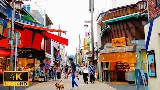 Komachi-dori Street Food | Kamakura, Japan Walk 4K