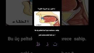 peltek harfler.  الحروف اللثوية