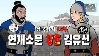 삼국사기 12부 (연개소문 vs 김유신)