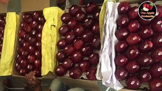 Shimla Apple l Latest Apple Price Shimla l Shimla Apple Mandi l