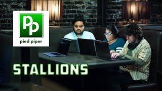 Stallions of Pied Piper - Silicon Valley